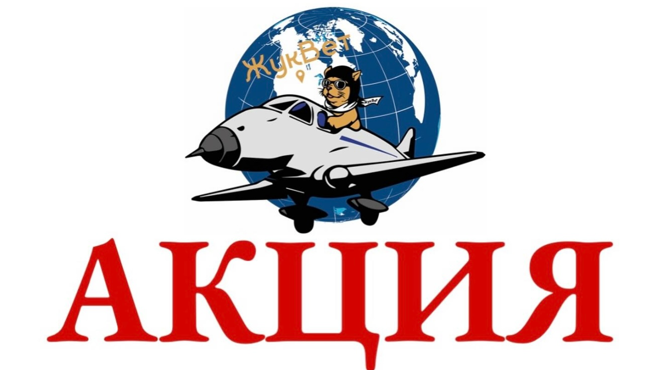 В честь открытия